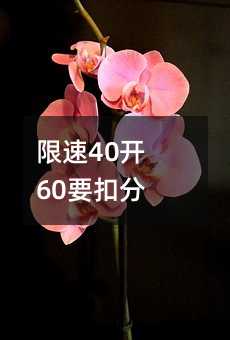 170075