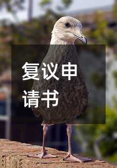 346623