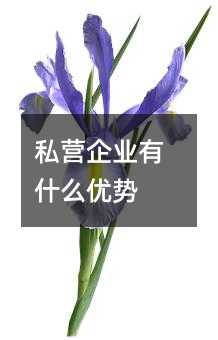 23351