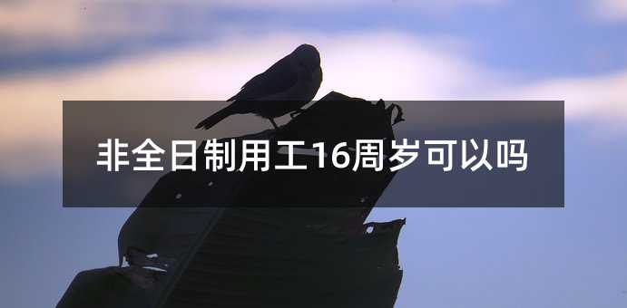 82062