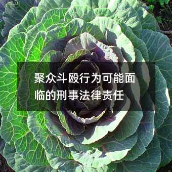 320429