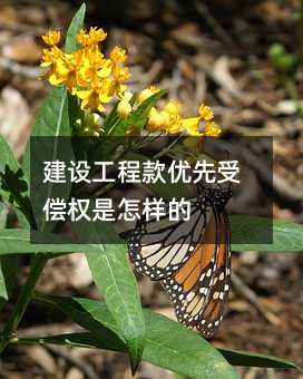 162071