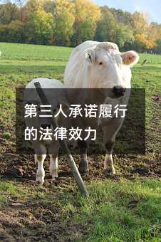 55359