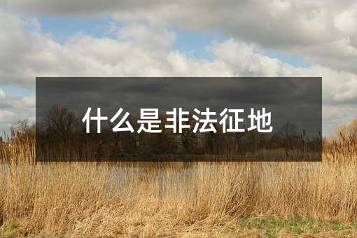 10650