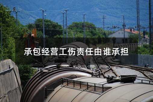 80736