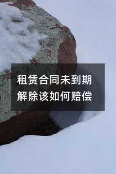 340169
