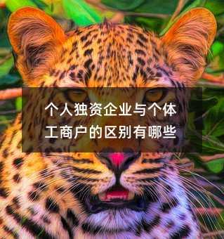 36546