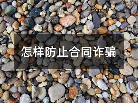 55595