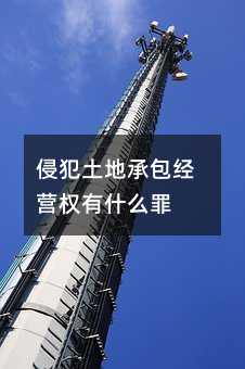 155538