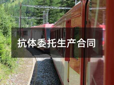 53319