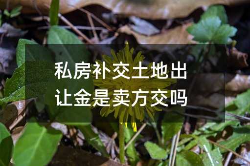 5255