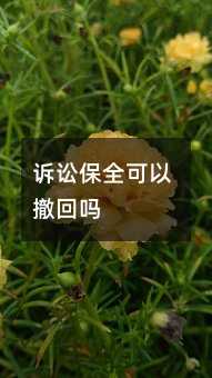 102455