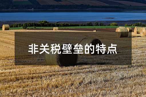 33806