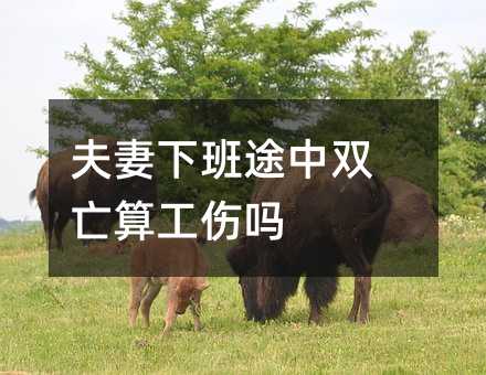78896