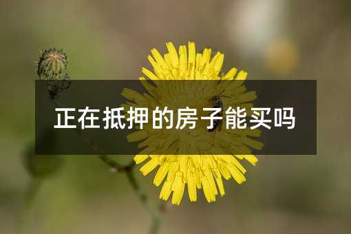 156050