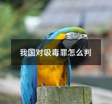 115035