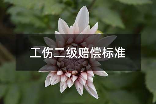 80424