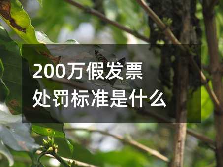92211