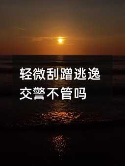 66231