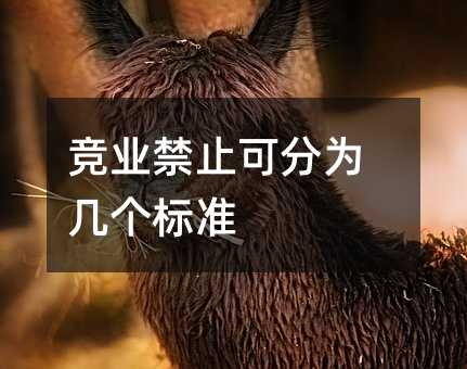 73136
