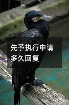 85448