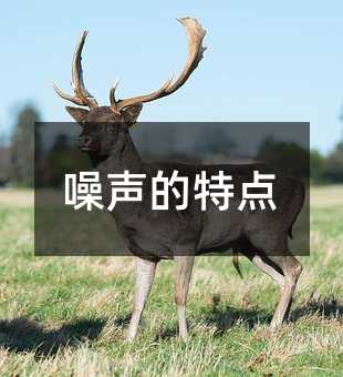 96033