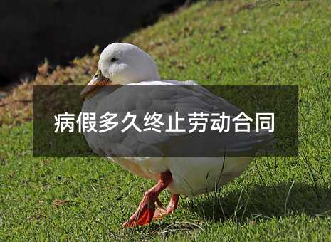 170876
