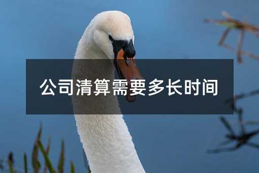 93058