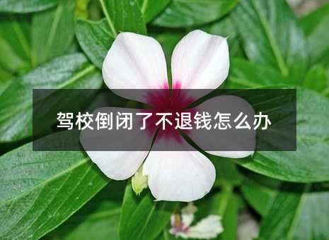180051