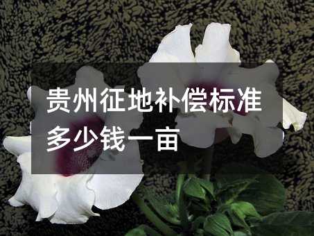 154082