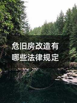 153667