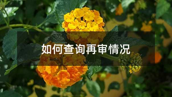 84712