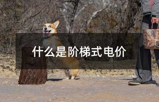 96513