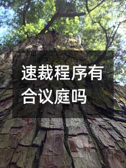 120710
