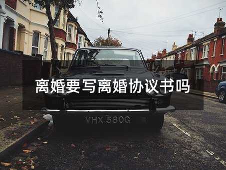 41019