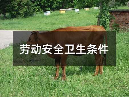 81384