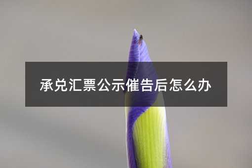 85064