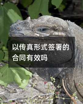 94506