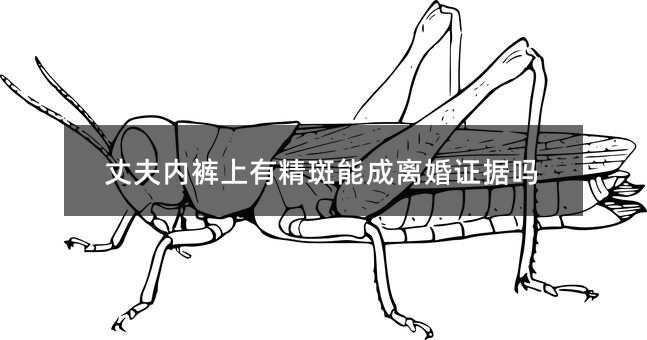 41904