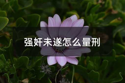 355239
