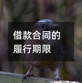 365941