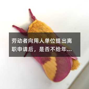 356816