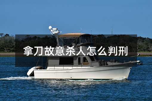 拿刀故意杀人怎么判刑