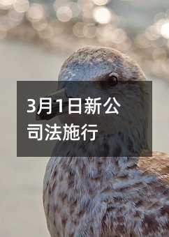 357135