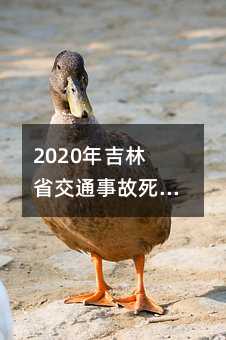405164