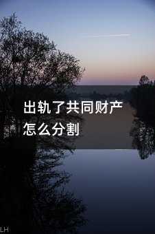 356557