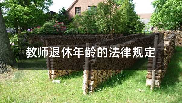 376733