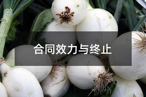 370754