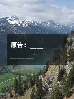 393524