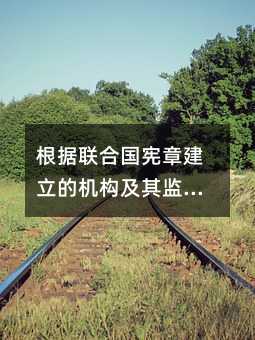 403631